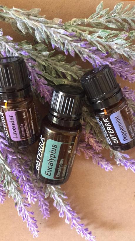 5 Essential Oils For Beginners