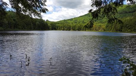 Lesson 1538 – Flyfishing in New Hampshire
