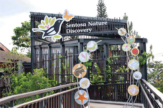 MEGA FUN From Dusk Till Dark This June At Sentosa MEGA FUN From Dusk Till Dark This June At Sentosa