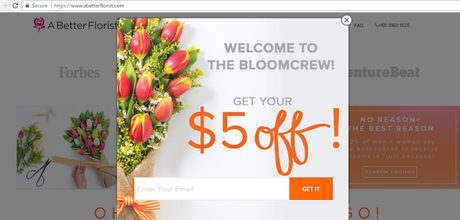 A Better Florist: Flowers That Speak Volumes A Better Florist: Flowers That Speak Volumes
