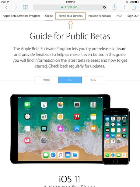How to download and install iOS 11 Public Beta 1 the Tokitechie way?