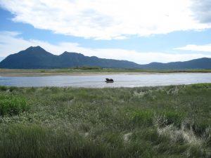 Alaska: Wilderness Unbound