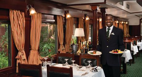 Top 5 Unique Train Experiences Not to Miss! Top 5 Unique Train Experiences Not to Miss!