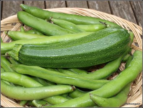 Last and first Last and first