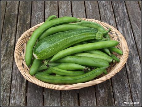 Last and first Last and first