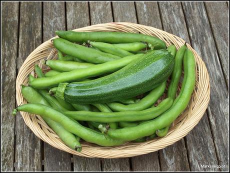 Last and first Last and first