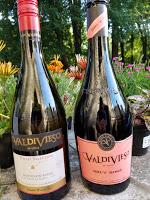 Chilean Wine from Ventisquero & Valdivieso