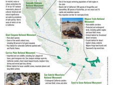 Trump “Review” Includes Seven California’s National Monuments