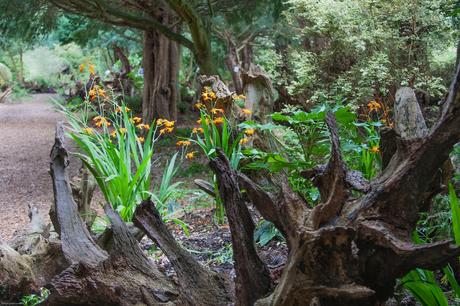 10 amazing ideas to spruce up your garden garden ideas