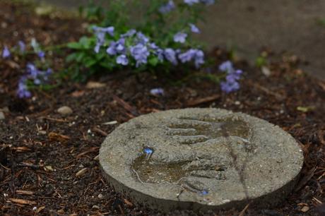 10 amazing ideas to spruce up your garden garden ideas