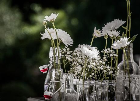 10 amazing ideas to spruce up your garden garden ideas