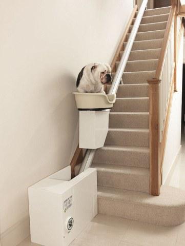 Stair lift for obese dogs (prototype): image via newslite.tv