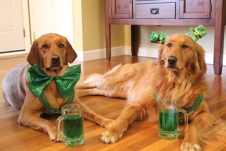 Happy St. Patrick's Day!!!