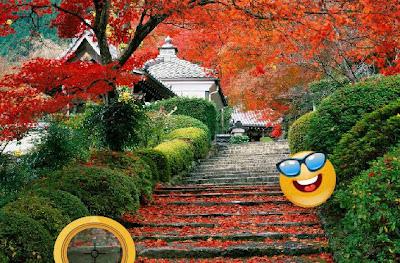 Hidden Smileys Hidden Smileys