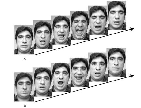 Can Dogs Catch Yawns From Humans? Can Dogs Catch Yawns From Humans?