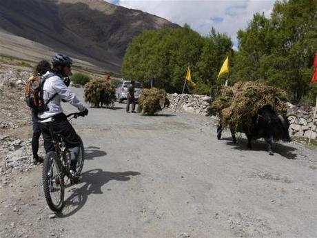 The Nubra valley