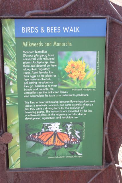Highlights of Denver Botanic Gardens