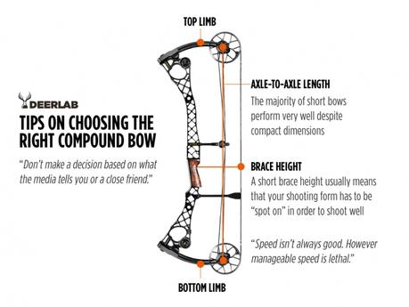 10 Best Compound Bow Reviews 2017 – Top Rated for the Money Choosing the Best Compound Bow