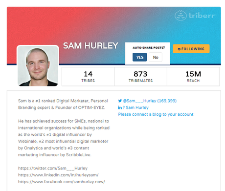 Triberr – How To Actually Use This Awesome Blogging Tool Triberr – How To Actually Use This Awesome Blogging Tool