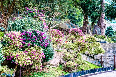 20 Photos of Nan Lian Garden to Inspire You to Visit Hong Kong