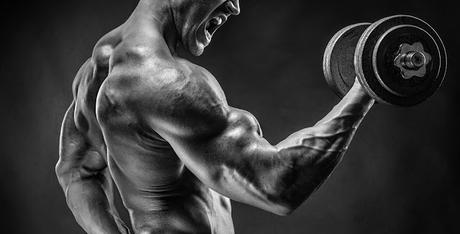 Bigger biceps | Less effort