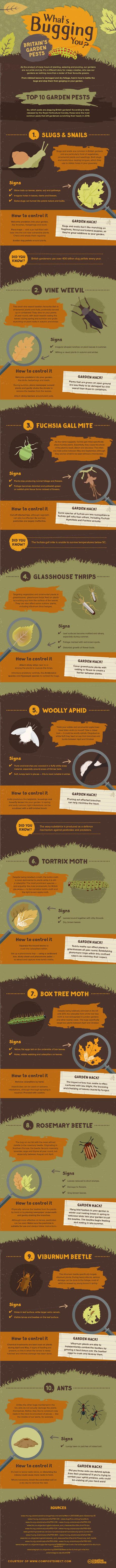What’s bugging you? A guide to garden pests What’s bugging you? A guide to garden pests