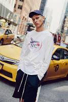 New York In a Capsule:  CXX For W New York