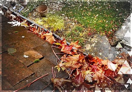 Beyond Roof Maintenance: How to Give Your Roof the Best Care Beyond Roof Maintenance: How to Give Your Roof the Best Care