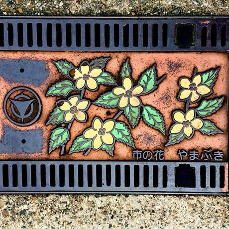 An Ignoramus in Japan: Manhole Covers An Ignoramus in Japan: Manhole Covers