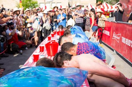 Giddy Up: Budweiser County Fair Toronto! Giddy Up: Budweiser County Fair Toronto!