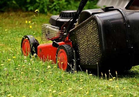 How To Select The Perfect Mower For Your Yard Size
