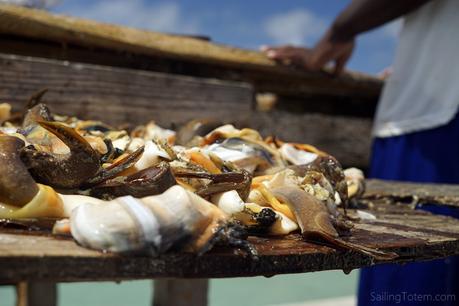 Cruising the Bahamas: beauty at our back door cracked conch