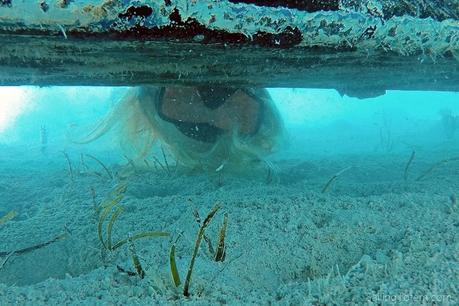 Cruising the Bahamas: beauty at our back door underwater snorkeling