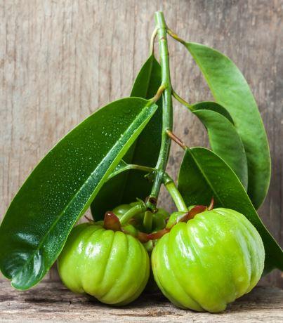 Garcinia Cambogia and Apple Cider Vinegar: 2 Weight Loss Boosters Garcinia Cambogia and Apple Cider Vinegar: 2 Weight Loss Boosters