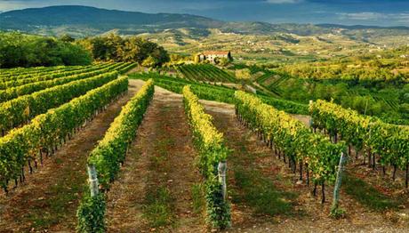 From Italy with Wine - Collio wine zone From Italy with Wine - Collio wine zone