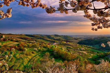 From Italy with Wine - Collio wine zone From Italy with Wine - Collio wine zone