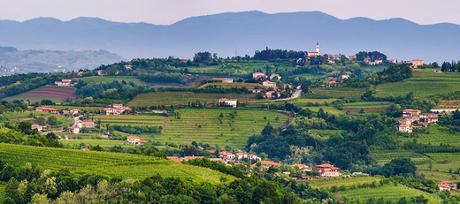 From Italy with Wine - Collio wine zone From Italy with Wine - Collio wine zone
