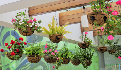 GReat Trails, Kodaikanal: Ideal break amidst nature flowers
