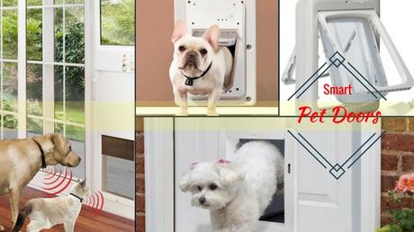 Smart Doors For Your Pets