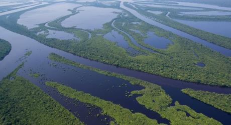 Wild & Wonderful Tours in the Brazilian Amazon Wild and Wonderful Tours in the Brazilian Amazon