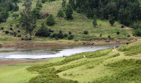 Five ‘not so touristy’ things to do in while in GReat Trails, Kodaikanal lake