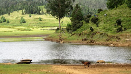 Five ‘not so touristy’ things to do in while in GReat Trails, Kodaikanal mannavanur