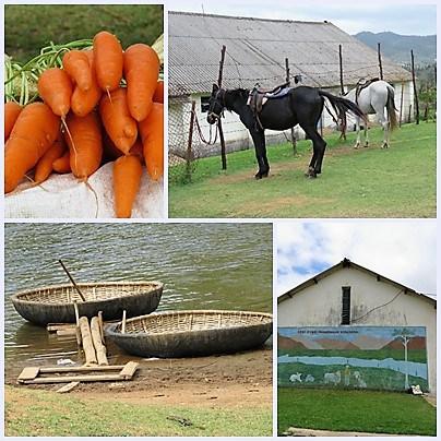Five ‘not so touristy’ things to do in while in GReat Trails, Kodaikanal page3