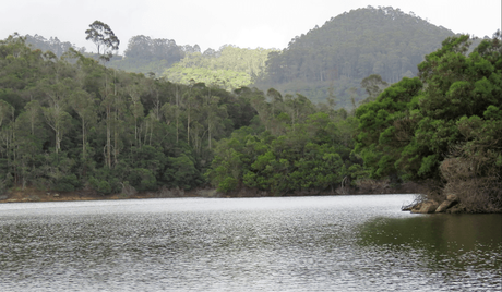 Five ‘not so touristy’ things to do in while in GReat Trails, Kodaikanal lake2