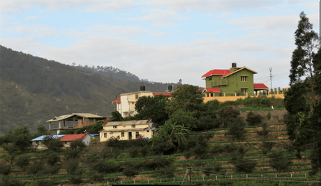 Five ‘not so touristy’ things to do in while in GReat Trails, Kodaikanal view1