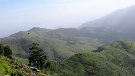 Five ‘not so touristy’ things to do in while in GReat Trails, Kodaikanal view6