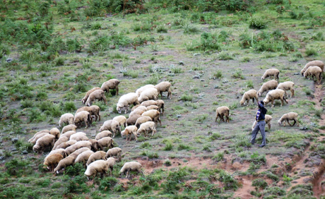 Five ‘not so touristy’ things to do in while in GReat Trails, Kodaikanal Untitled
