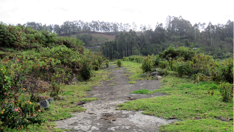 Five ‘not so touristy’ things to do in while in GReat Trails, Kodaikanal view3
