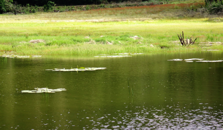 Five ‘not so touristy’ things to do in while in GReat Trails, Kodaikanal lake3