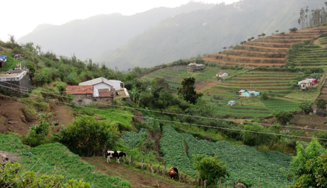 Five ‘not so touristy’ things to do in while in GReat Trails, Kodaikanal view2